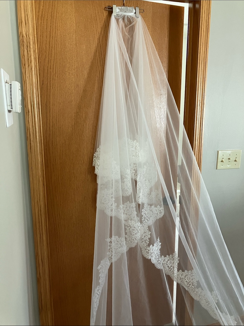 Elegant Ivory Lace-Edge Bridal Veil - Classic Wedding Hair Accessory - Picture 2 of 3